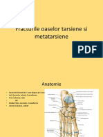 Curs 6 Fracturile Oaselor Tarsiene Si Metatarsiene