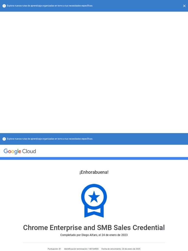 Chrome Enterprise And SMB Sales Credential Google PDF