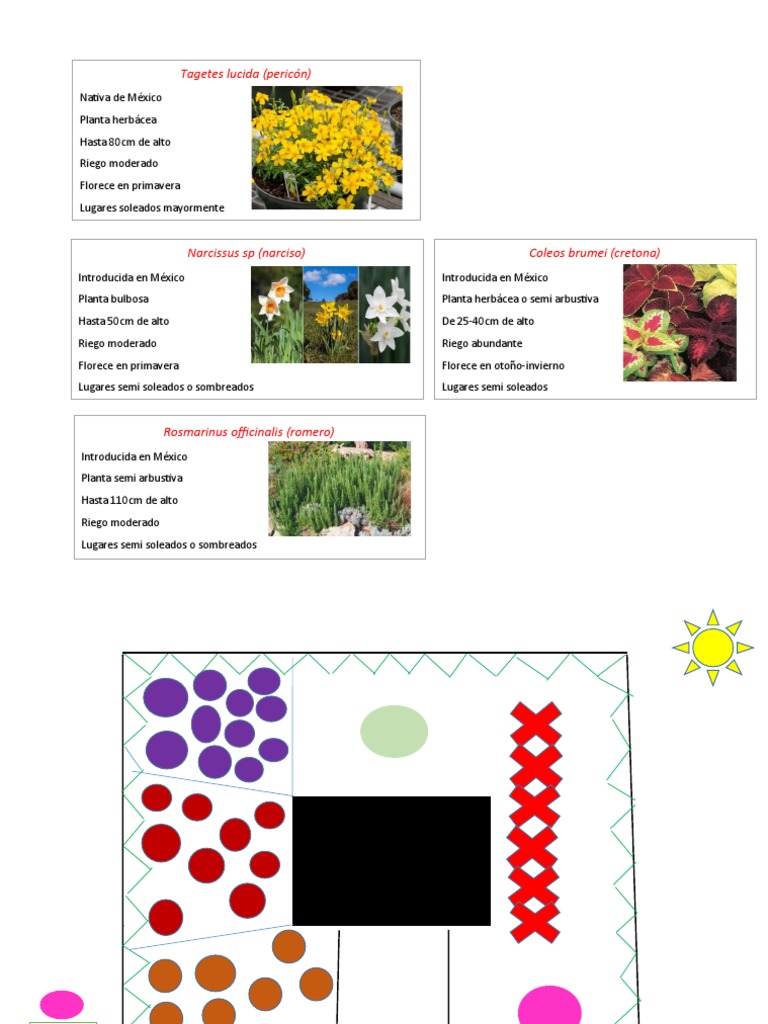 Distribución Plantas 2.0 | PDF