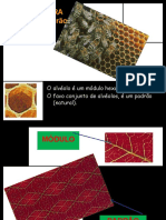 Modulo Padrão1