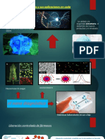 Los Tipos de Nanopartículas y Sus Aplicaciones en