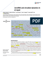 microRNA and Circadian Dynamics in