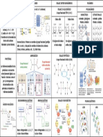 Cuadro Biomoléculas