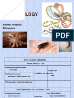 Medical Biology 8.en - TR