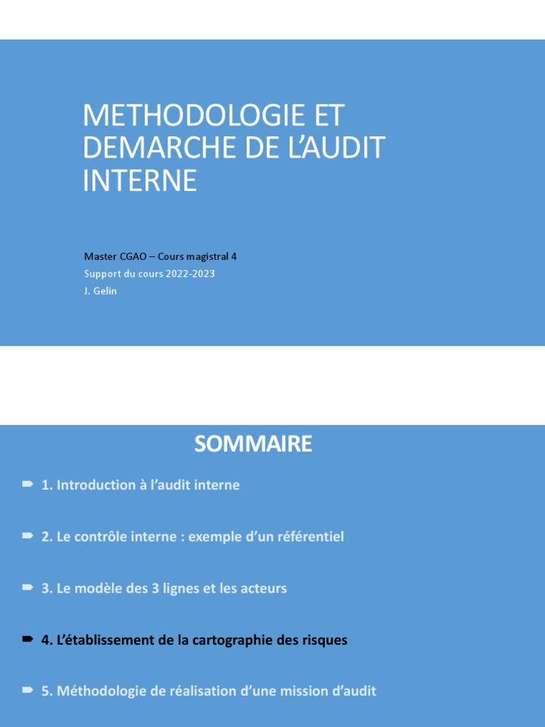 Cartographie des Risques en Audit Interne | PDF | Risque | Contrôle interne
