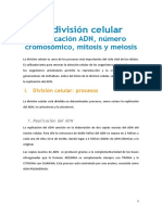 La División Celular: Replicación ADN, Número Cromosómico, Mitosis y Meiosis