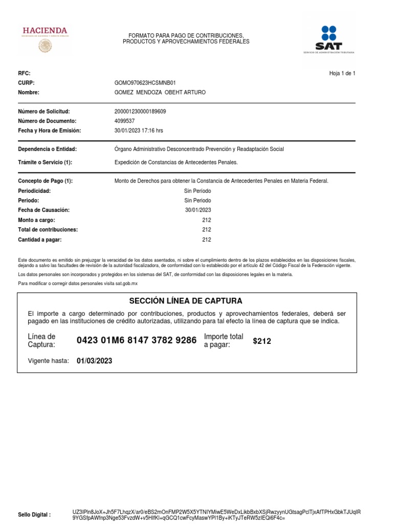 Acuse | PDF | Gobierno | Justicia