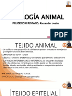 Histología Animal