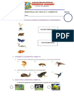 Examen Bimestral de Ciencia y Ambiente