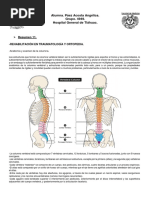 Anatomía y Función de la Columna Lumbar | PDF | La columna vertebral ...