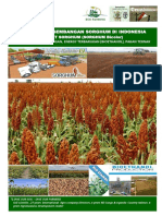 Pengembangan Agroindustry Sorghum Di Indonesia