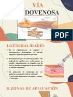 Vía Endovenosa