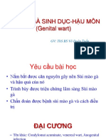 4 BỆNH SÙI MÀO GÀ SINH DỤC