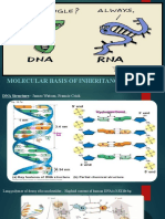 Mol Basis of Inheritance