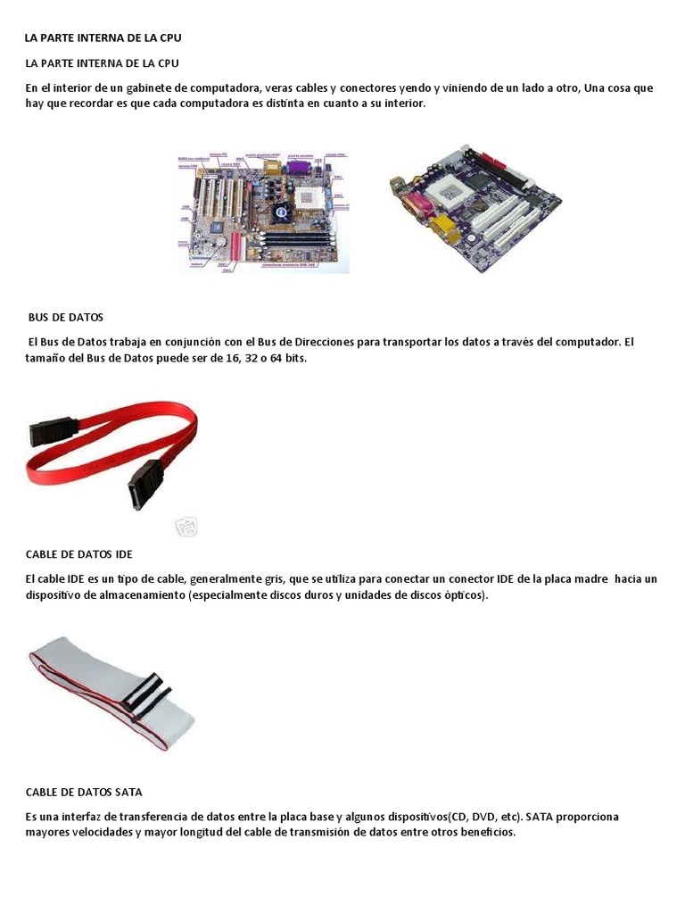La Parte Interna de La Cpu | PDF | Hardware de la computadora ...