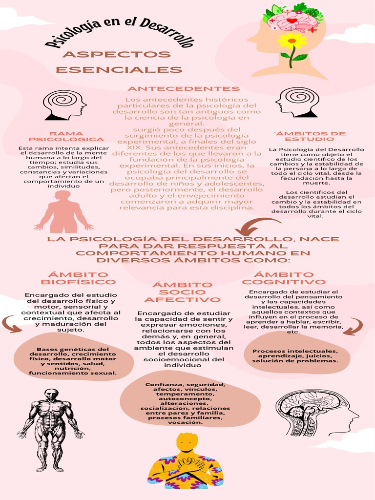 Infografía Psicología en El Desarrollo | PDF | Sicología | Psicología ...