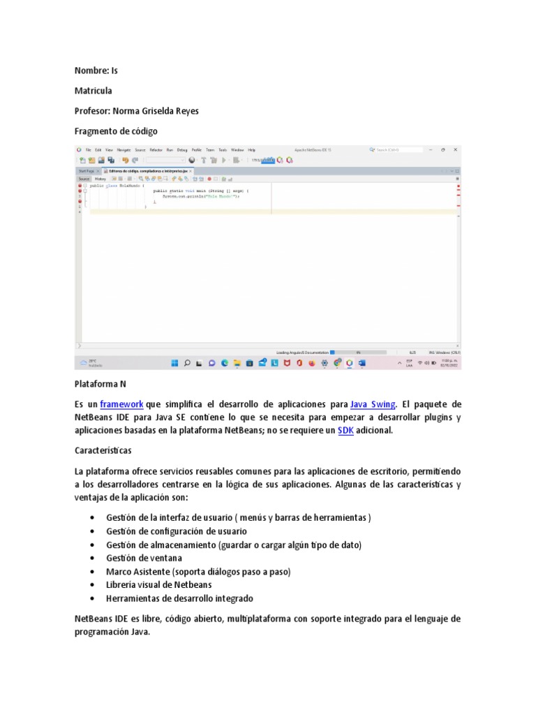Framework Java Swing SDK | PDF