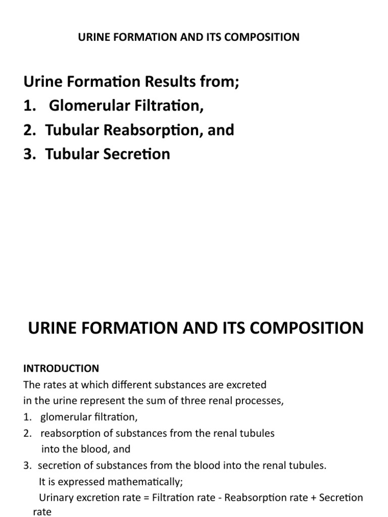 Urine Formation And Its Composition Pdf Kidney Organ Anatomy