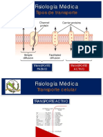 Tema 3 Clase 2 Transporte Celular Transporte Activo Primario y Secundario
