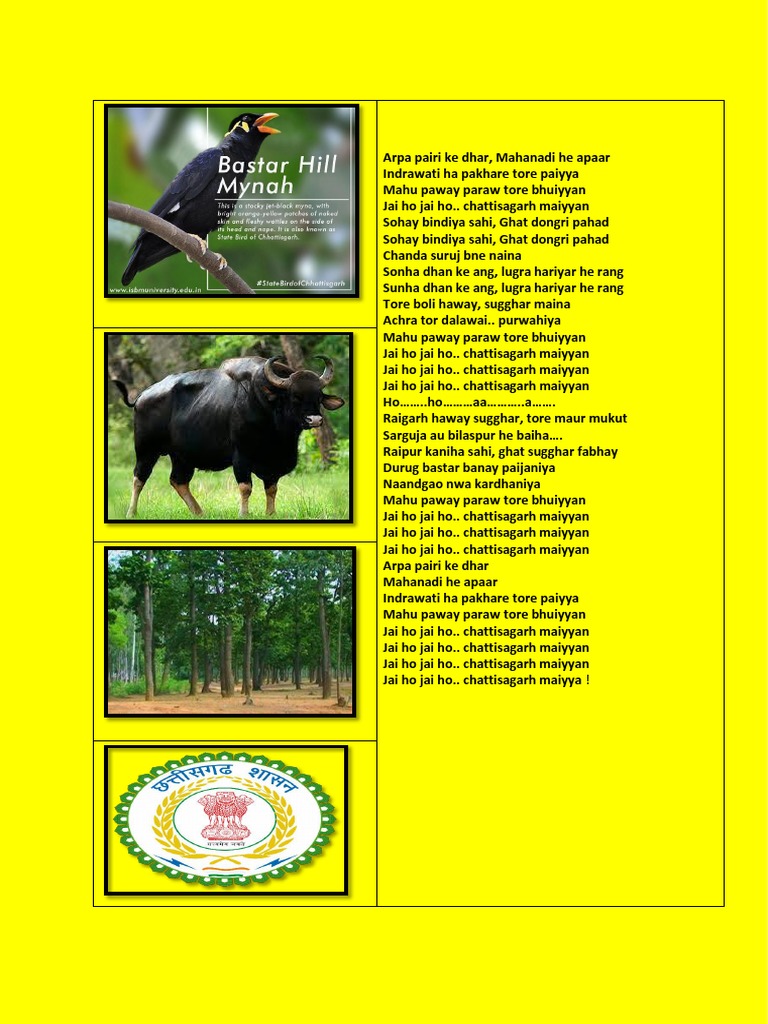 English AIP | PDF