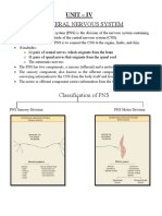 PNS Structure and Functions