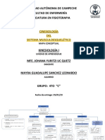 Mapa Conceptual Cinesiología