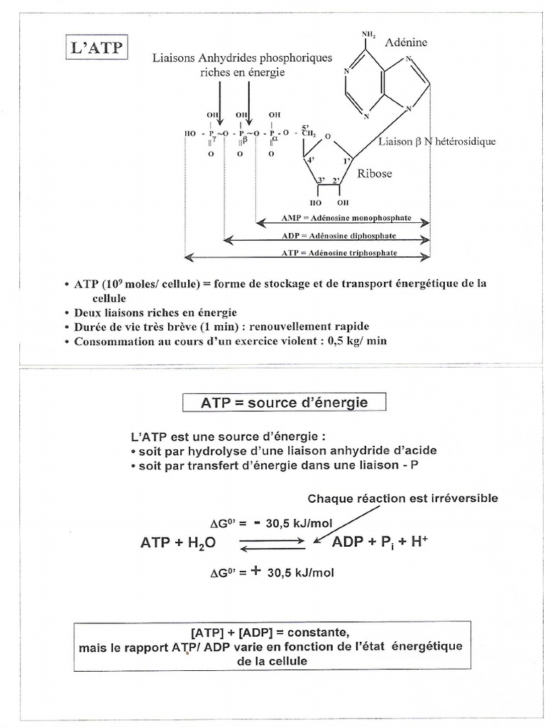 BIO5 | PDF