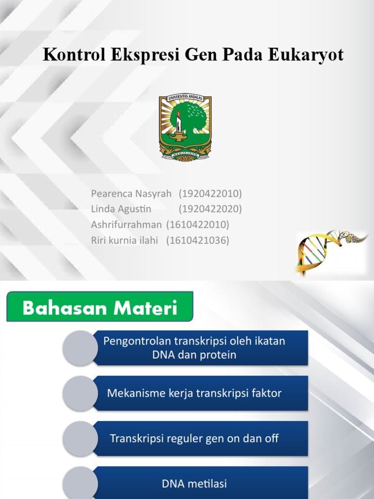 Kelompok 4 - Biosel - Kontrol EKSPRESI GEN | PDF