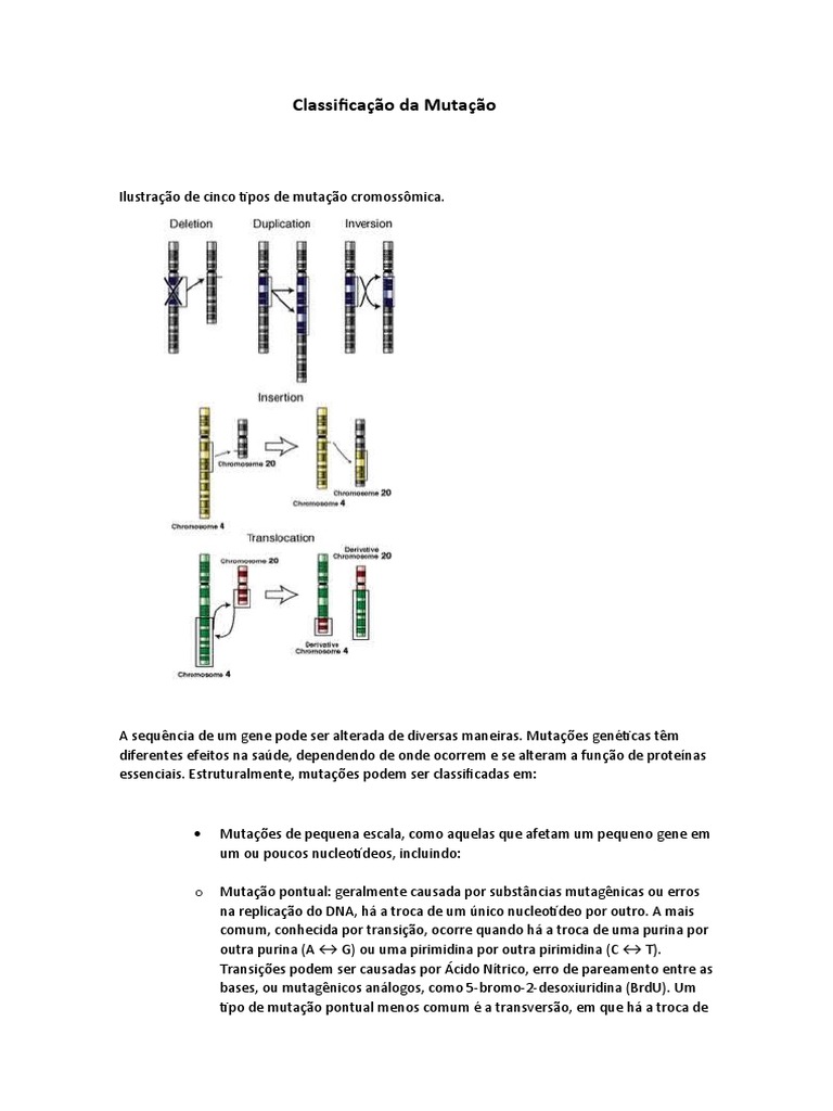 Classificação Da Mutação (Lsfo) | Download grátis PDF | Mutação | Gene