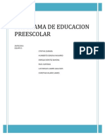 ENSAYO Programa de Educacion Preescolar