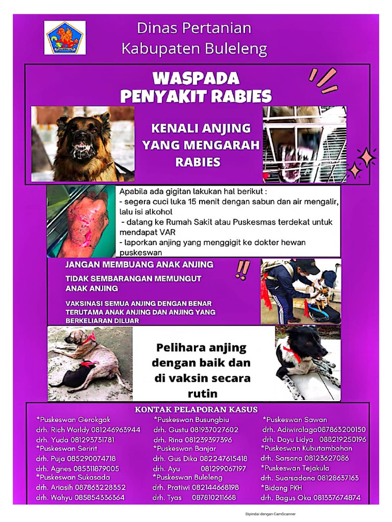 34 - Waspada Penyakit Rabies | PDF