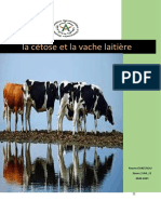 Rapport Cétose - Yousra OUKECHOU-IPA, 11 '