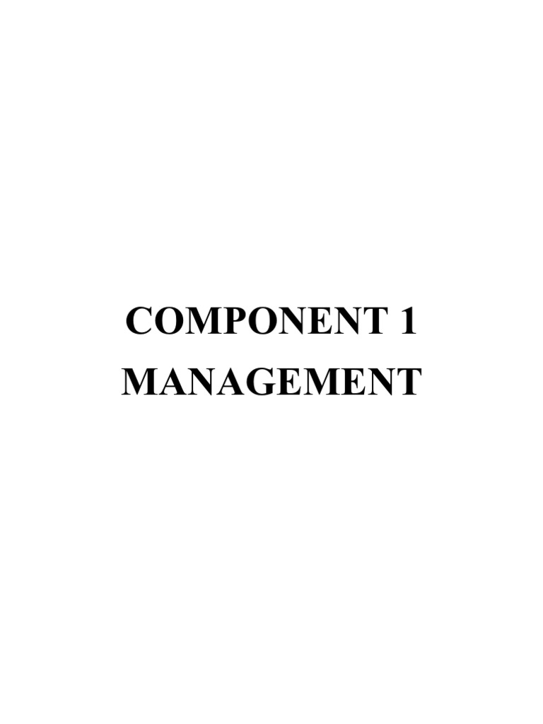 Management and Infrastructure Components | PDF
