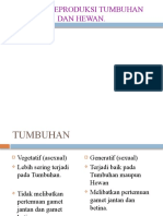 Reproduksi Pada Tumbuhan Dan Manusia 9