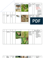 IPM of Maize Pests