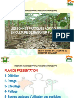 Presentation Sur Les Bonnes Pratiques Agricoles en Bananier Plantain