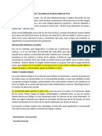 Poda y Aclareo de Plantaciones de Teca