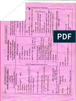 Birth Report Pink Form