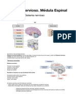 Anatomía 1