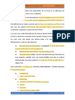 Biomoléculas Fundamentales