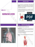 Respiratory System Student