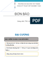 Bài 2. Đơn Bào P1 - Chân Giả Và Roi