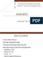 Bài 6. Nấm mốc