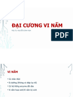 DC VI Nam 2020-SV
