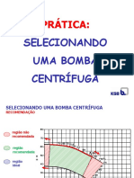 Selecionando Uma Bomba Centrifuga