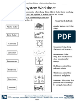 Ecosystem Worksheet 2