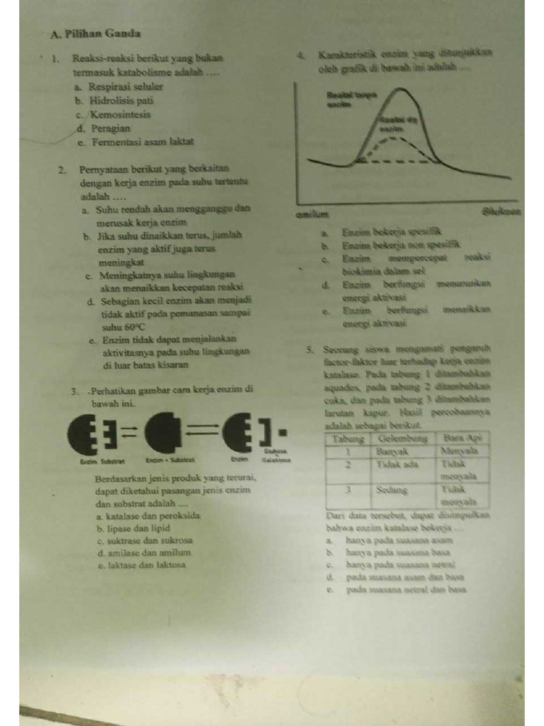 Mengurai Jejak Globalisasi: Contoh Soal Sejarah Kelas 12 IPA Semester 1