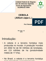 Cebola - Aula PDF 2010