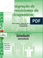 Integração de Microssistemas da Acupuntura