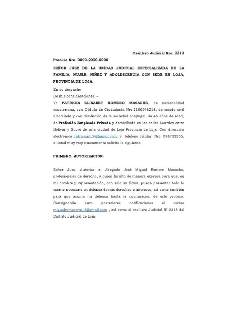 Modelo Escrito Autorizacion Abogados | PDF